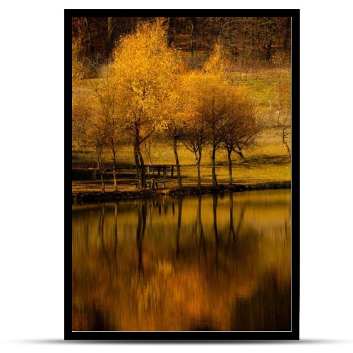 Autumn landscape beautiful colored trees over the river, glowing in sunlight. wonderful picturesque background. color in nature. Bright autumn trees with their reflection in water