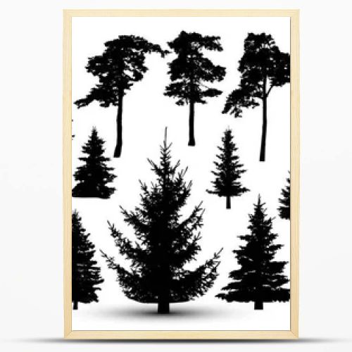 Trees forest set, vector. Silhouette of pine, spruce