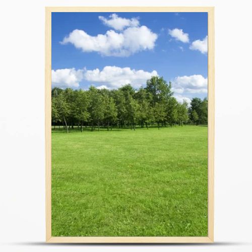 Summer landscape of grass and trees.