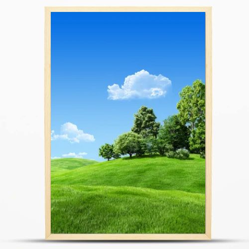 Very detailed 7000px trees on hill - nature collection