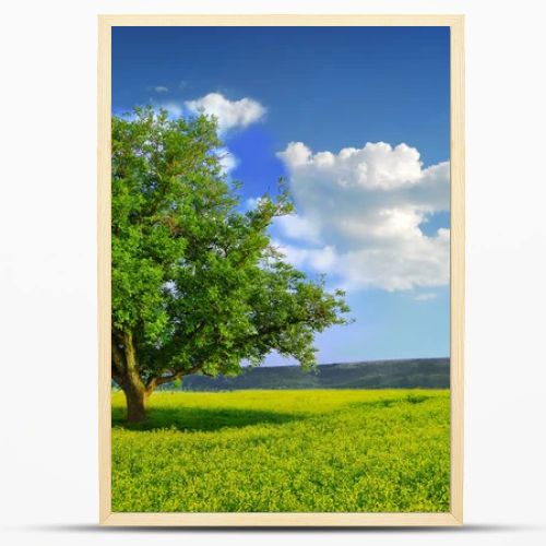 Lonely Tree in a Yellow Field