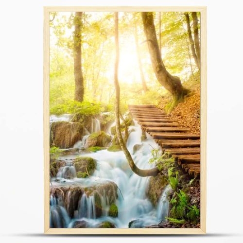 Deep forest stream with crystal clear water in the sunshine. Plitvice lakes, Croatia