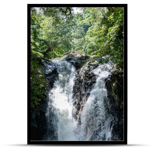 scenic view of Aling-Aling waterfall and various green plants, Bali, Indonesia