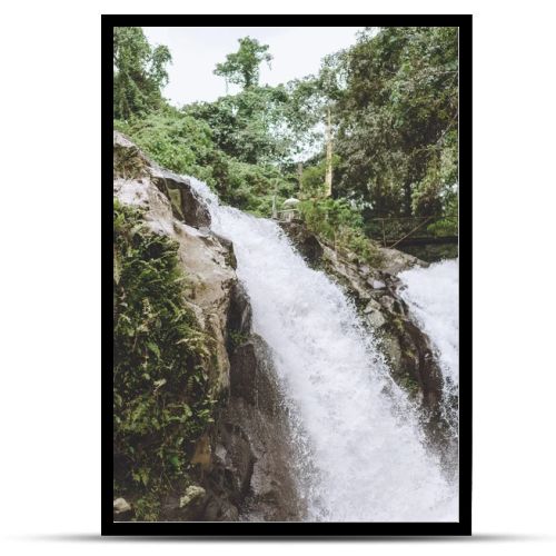 scenic view of Gitgit Waterfall and various green plants, Bali, Indonesia