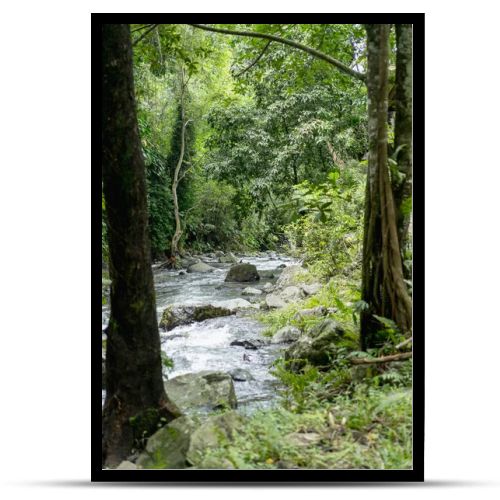 scenic view of river, trees with green foliage and rocks, Bali, Indonesia