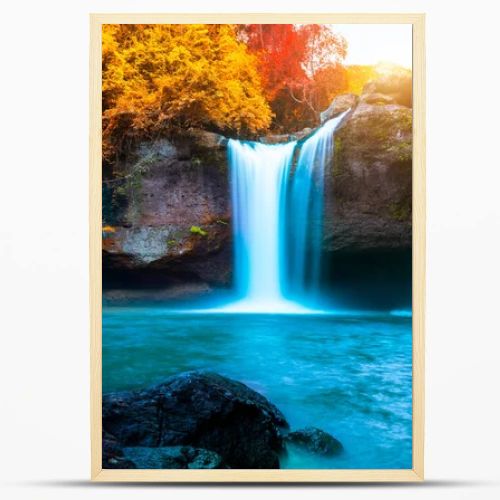 Water fall with red leaf in forest background.