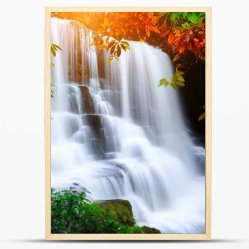 waterfall in rain forest