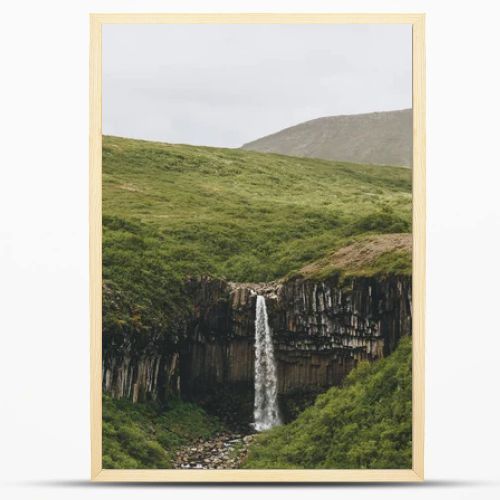 distant view of Svartifoss (Black fall) waterfall in Iceland 