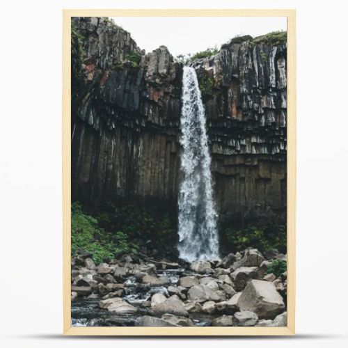 Black fall