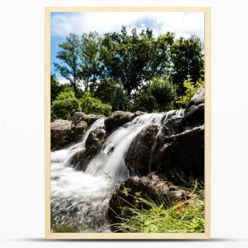 steam with water flowing on wet stones near green trees in park 