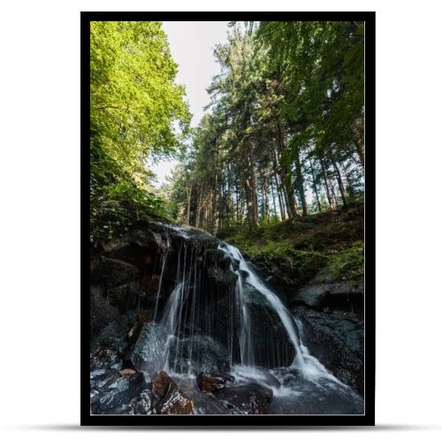 water falling on wet stones in woods