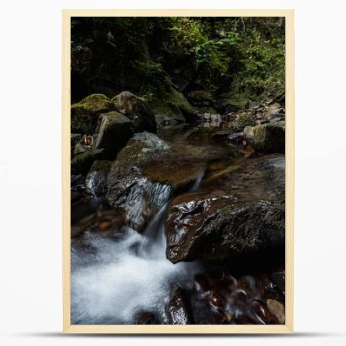 water flowing on wet rocks near green leaves in woods 