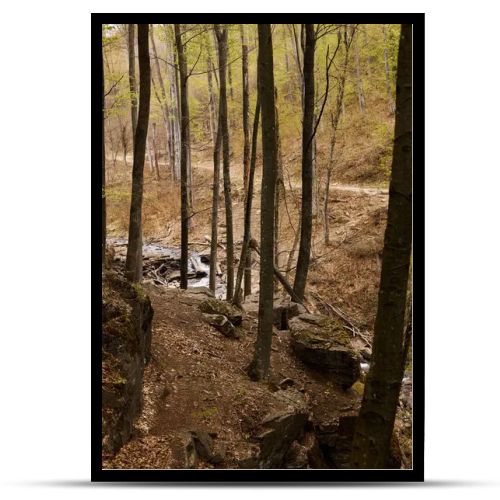 River stream waterfall in forest landscape, tranquil waterfall scenery in the middle of green forest