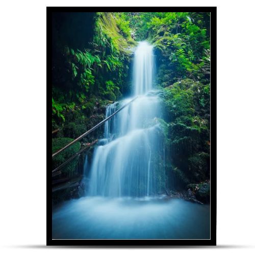 Beautiful Lush Waterfall in Hawaii