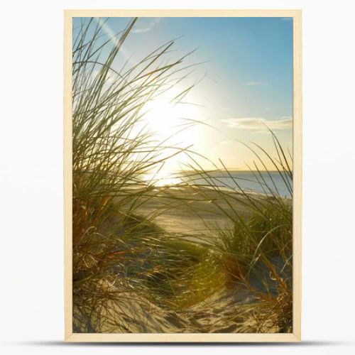 View through beach grass on a sand dune to the sea at sunset, on the North Sea coast in the Netherlands