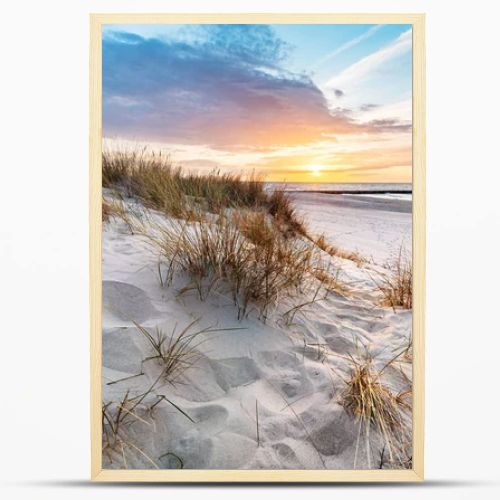 Beach grass on dune, Baltic sea at sunset. Calm landscape