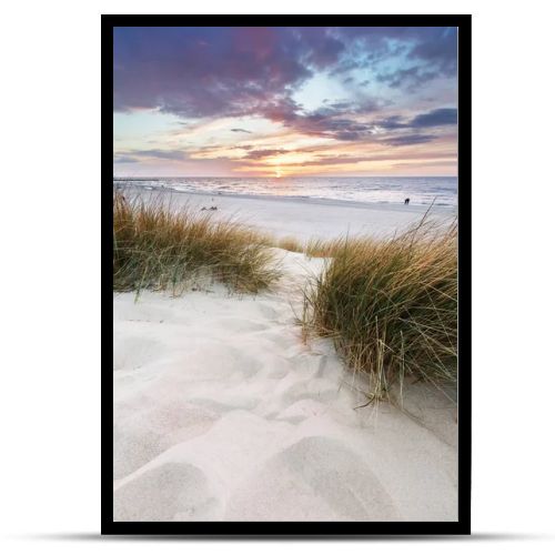 Beach grass on dune, Baltic sea at sunset. Calm landscape