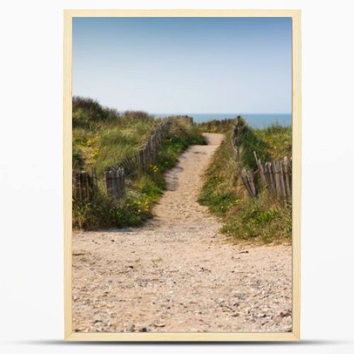 Sand footpath through dunes at the beach