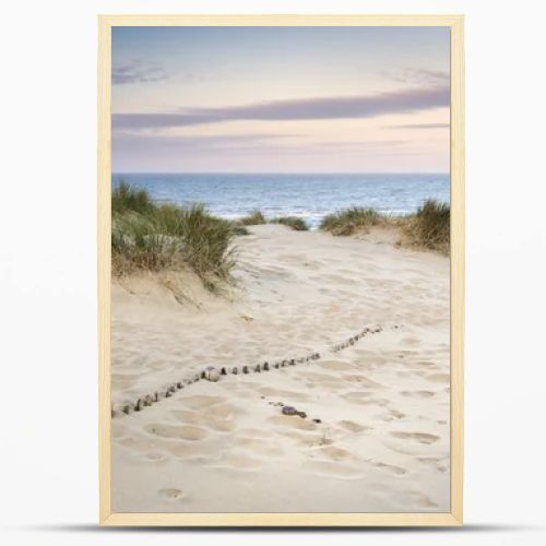 Grassy sand dunes landscape at sunrise