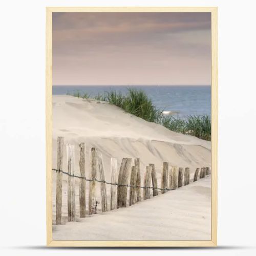 Grassy sand dunes landscape at sunrise