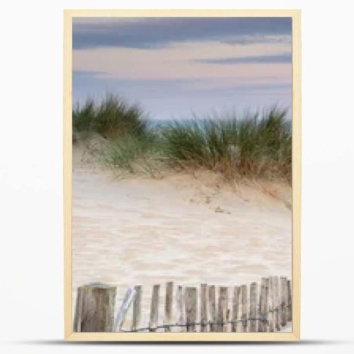 Panorama landscape of sand dunes system on beach at sunrise