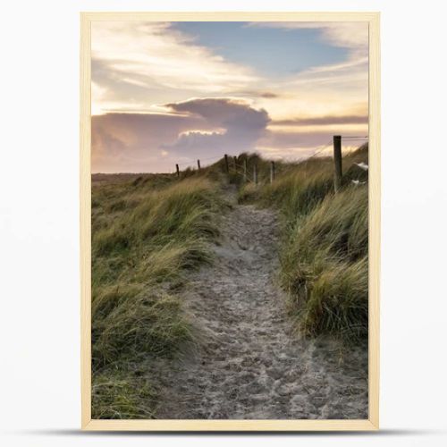 Blue sky Summer beach sunset landscape