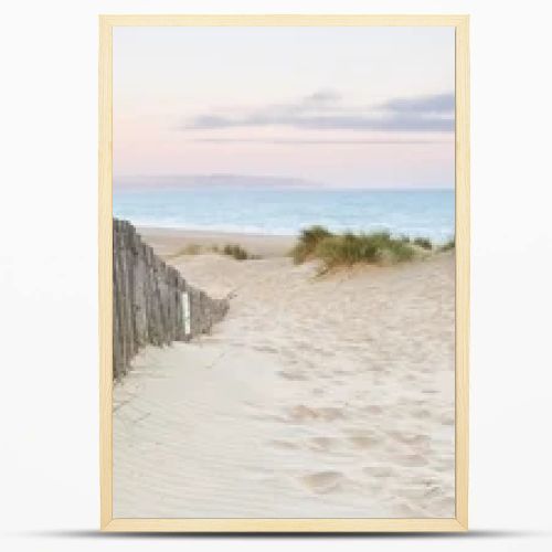 Panorama landscape of sand dunes system on beach at sunrise