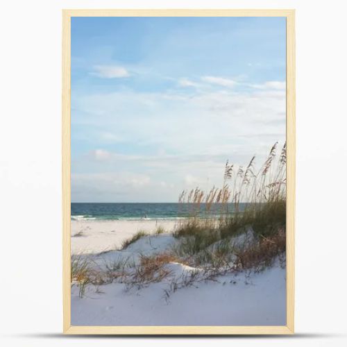 Beautiful beach and dunes at sunset