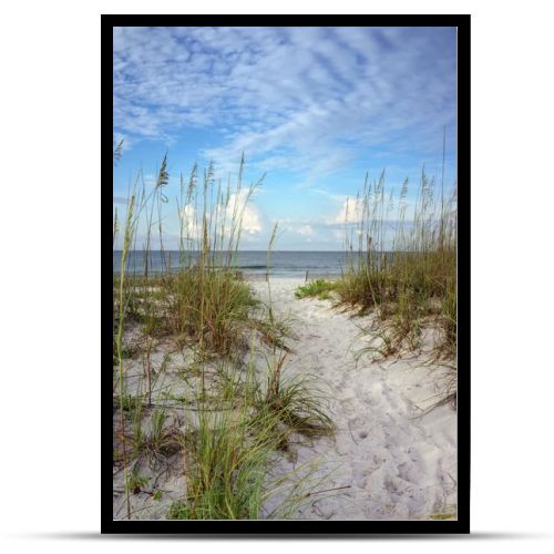 New Day Dawns at White Sands Beach