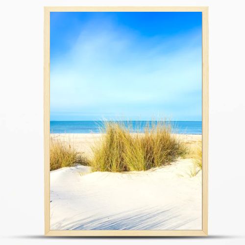 Grass on a white sand dunes beach, ocean and sky