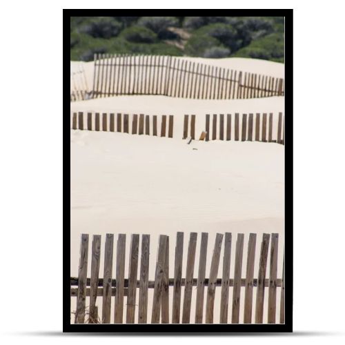 Wooden fences on deserted beach dunes in Tarifa, Spain