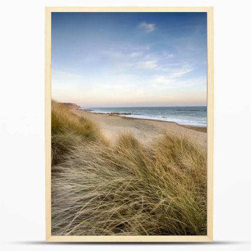 Sand Dunes at Hengistbury Head