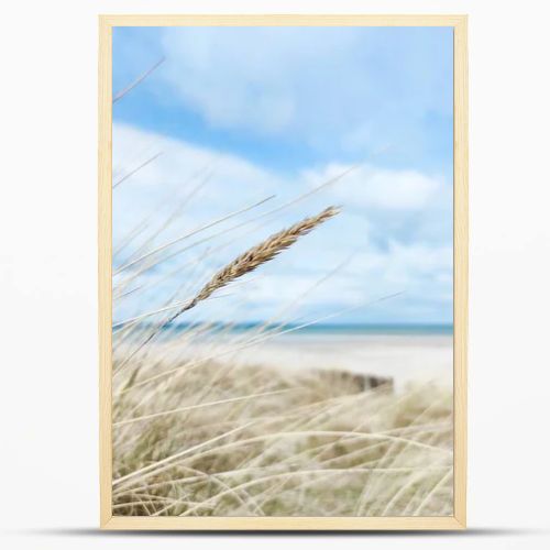 Baltic sea dunes over blue coastline background in Northern Germany