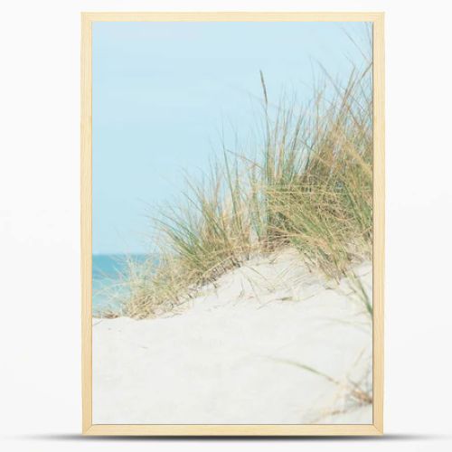 Baltic sea dunes over blue coastline background in Northern Germany