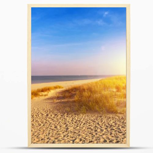 Baltic sea sand dunes