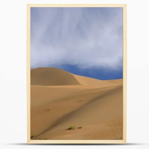 Imperial Sand Dunes