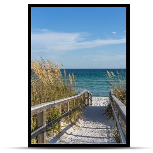 Footpath to beach in paradise