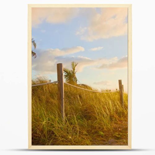 Path to the beach with Sea Oats, grass dunes at sunrise or sunset in Miami Beach, Florida