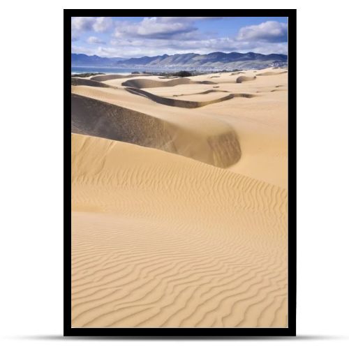 Oceano Dunes Natural Preserve, California (USA)