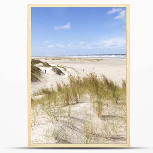 dunes and view over north sea on the island of vlieland in the n