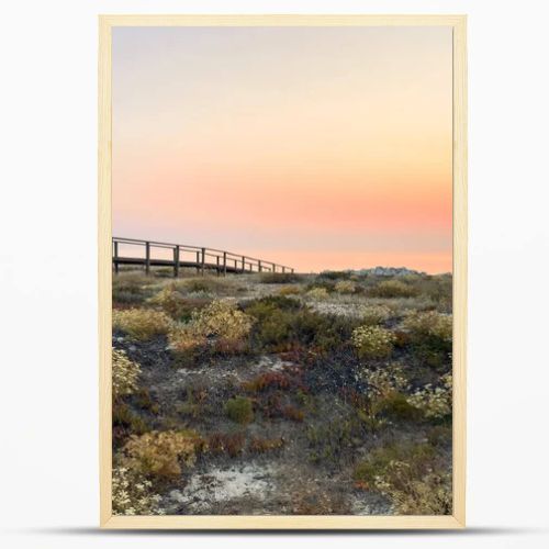 A wooden boardwalk stretches across wild coastal dunes blooming with flora towards a radiant golden sunset over the calm ocean horizon at Furadouro beach in Ovar Portugal creating a serene scene
