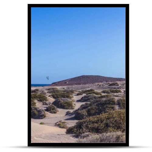 El Medano, Tenerife, Spain  March 1, 2026: Kite surfers riding the waves near sandy dunes of El Medano beach on a windy day. Colorful kites in the blue sky over the Atlantic Ocean, popular destination for water sports and windsurfing in the Canary