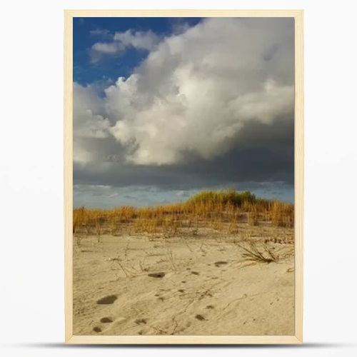 Sandy dunes dotted with grass stretch toward a distant ocean horizon beneath dramatic storm clouds, evoking solitude, nature, and changing weather on a quiet coastal landscape at low angle light.