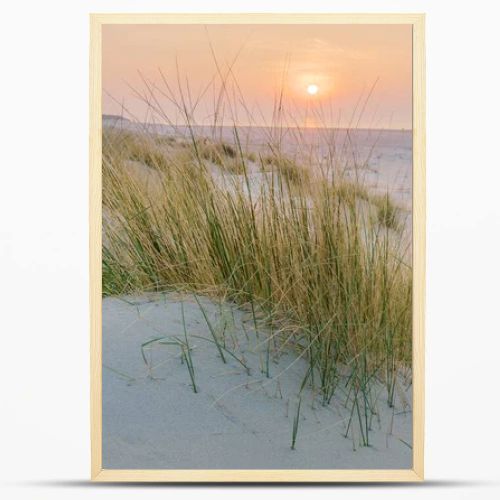 Golden hour paints the sky above the serene beach and dunes. Tall grasses sway gently, casting soft shadows on the cool, blue sand as the sun dips below the horizon.