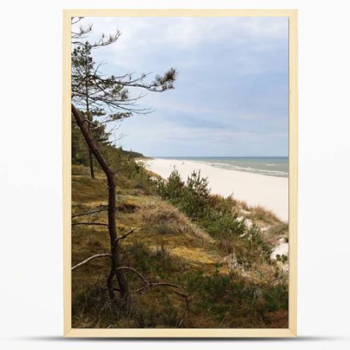 Baltic Sea coastline with sandy beach and pine forest on coastal dunes under dramatic cloudy sky