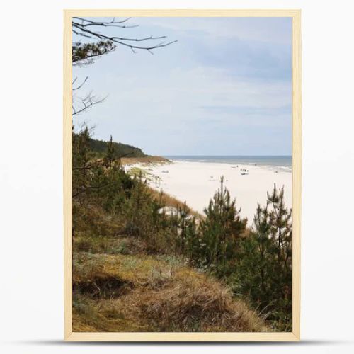 Wide sandy Baltic Sea beach with coastal pine forest and dune landscape under cloudy summer sky