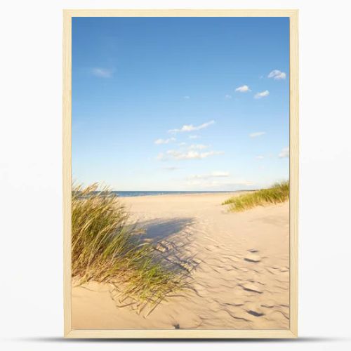 Slovinski national park, Leba sand dune on the Baltic coast