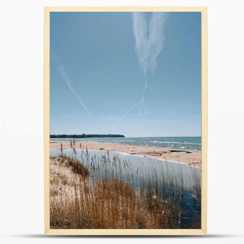 Scenic coastal landscape with sandy beach, calm lagoon and tall reeds under a bright blue sky crossed by airplane contrails. Natural shoreline with copy space, ideal for travel, environment and tourism concepts.