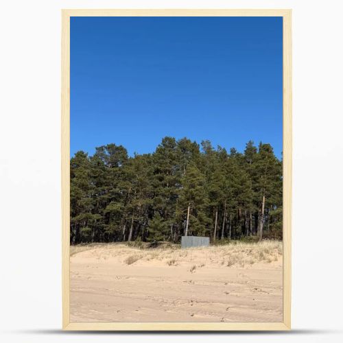 Natural coastal landscape with sandy beach dunes and dense pine forest beneath a vivid blue sky. Peaceful outdoor scene ideal for travel, nature, environment, wellness, and seasonal tourism concepts.