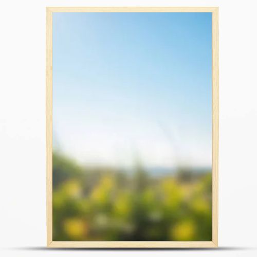 Blurred beach grass against a bright blue summer sky.